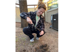 Joplin-SoilCollection